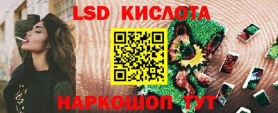 крисы Гулькевичи