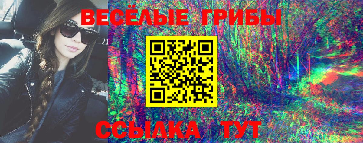 Галлюциногенные грибы мицелий  Вход с VPN  Галлюциногенные грибы Cubensis  Будённовск 