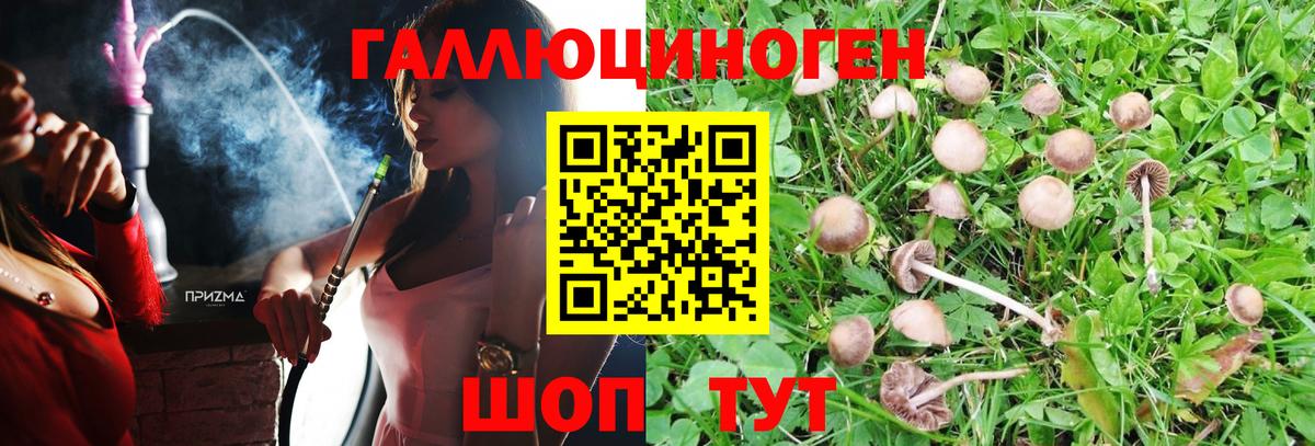 Псилоцибиновые грибы ЛСД Будённовск